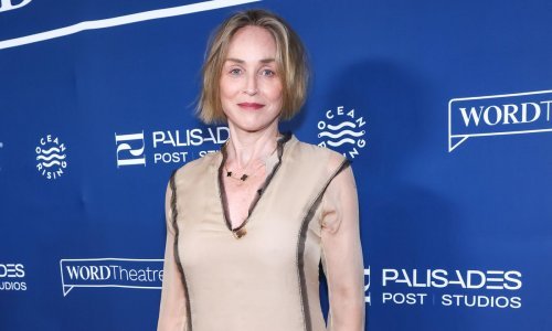 Jednostavno, odmjereno, savršeno: Sharon Stone zasjala u divnoj haljini s efektnim detaljima