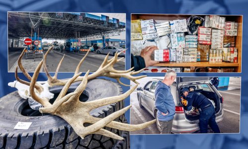 Pada se zbog rakije i paštete, ali Hrvati iz Bosne švercaju i testosteron, viagru te - jelenje rogove