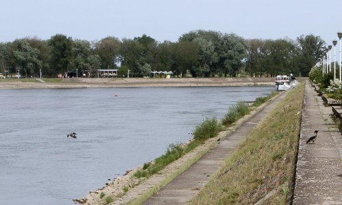 Počelo uređenje šetnice uz rijeku Dravu, poznato koliko će sve koštati