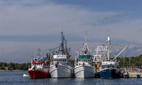Riba će poskupjeti, a možda je neće biti: 'Račun za gorivo sada je jednak prihodu'