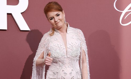 Jedan navodni TV projekt o kraljičinim psima izazvao je veliku buru u Britaniji