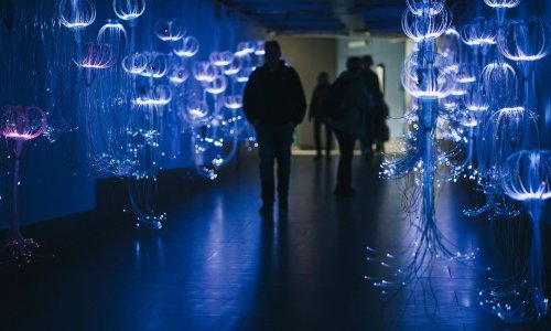 Konferencija Učiniti nevidljivo vidljivim spaja znanost i umjetnost