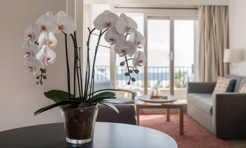 Tajna lijepih orhideja: S ovim sastojkom iz kuhinje vaše biljke će veličanstveno procvjetati