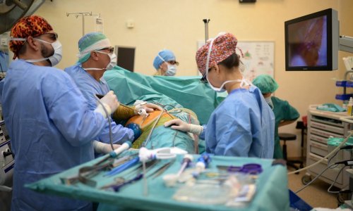 Povijesna odluka Vatikana: Dopušteno presađivanje životinjskih organa u ljude