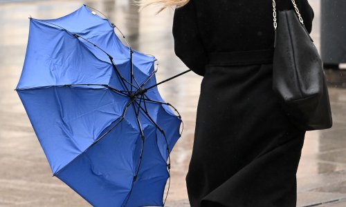 Olujni vjetar radi probleme u Zagrebu: U Trnskom stabla pala na automobile