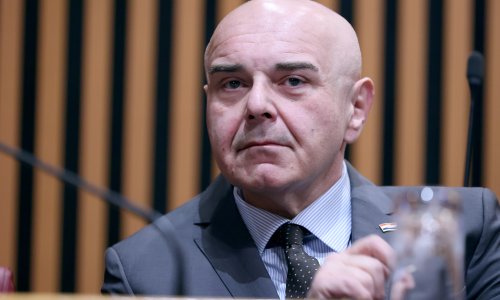 Ružić: U posljednjih pet godina prosječno se na godinu posvoji 164 djece