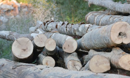 Novi potez Vlade: Socijalno ugroženi dobivaju veći popust na drva