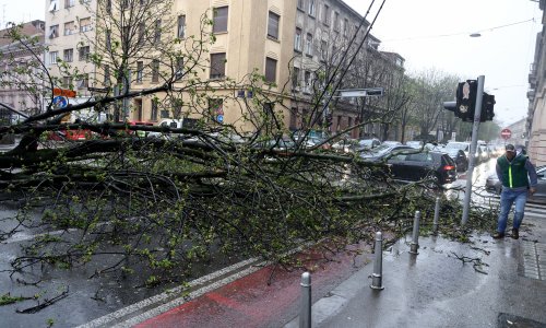 Jak vjetar čupa stabla diljem Zagreba: Zeleni val u blokadi, uništeni auti