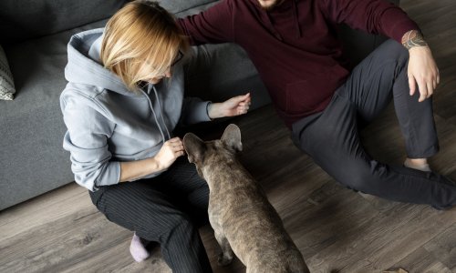 Zašto psi zapravo njuškaju međunožje: Nije ni nepristojno ni perverzno, nego čista biologija