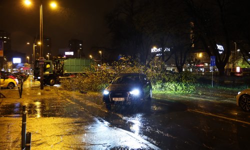 Prekinut promet ključnom zagrebačkom arterijom: Vjetar srušio još jedno stablo