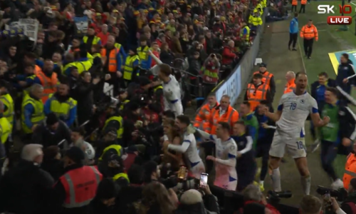 Pogledajte trenutak kada je BiH izbacila Wales i ostala u igri za Svjetsko prvenstvo