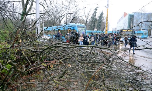 Izbjegnite rizik: Ovo su najopasnije stvari koje možete napraviti dok traje oluja