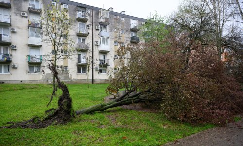 Kaos u Zagrebu: Po ovakvom vjetru ove stvari odmah maknite s balkona