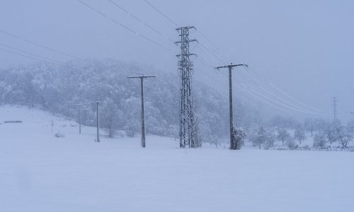 Kolaps u Lici: Dvije općine bez struje, kvarovi na dalekovodima u šumi zatrpanoj snijegom