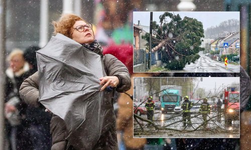 Oluja razbila Zagreb: Oštećeno 40 škola; Poznato dokad će trajati orkanski udari - ne izlazite ako ne morate