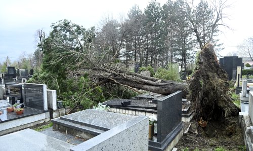 Direktor zagrebačkog groblja naveo da su otkazani pokopi na groblju: 'Molim građane da ne dolaze'