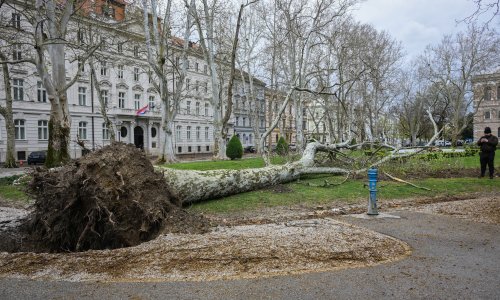 Hrvatske šume: Boravak na Medvednici i parkovima opasan je po život