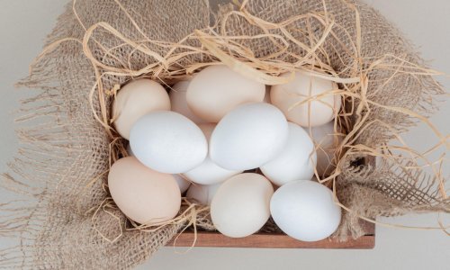 Kad birate jaja za pisanice, ovu razliku između smeđih i bijelih vrijedi znati