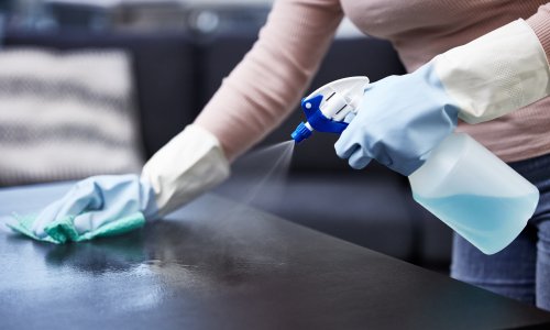 Zaboravite na prašinu do 10 dana: Domaći trik s jednim sastojkom