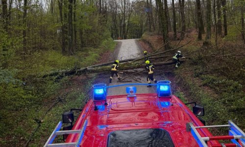 Sanacija posljedica nevremena još u tijeku, u Zagreb stigla i vatrogasna pojačanja