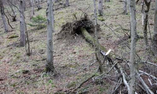 'S takvim olujnim vjetrom koji je trajao više od 30 sati do sada se još nismo susreli'