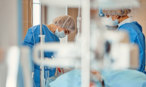 U Europi potvrđen prvi slučaj pričje gripe kod čovjeka: Zaražen dječak iz Italije