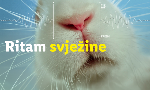 ‘Ritam svježine’: Lidl testira svježinu kroz kreativnu kampanju na društvenim mrežama