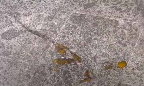 Dok je BiH slavila, kaos u Italiji: Procurile snimke divljanja navijača u Rimu