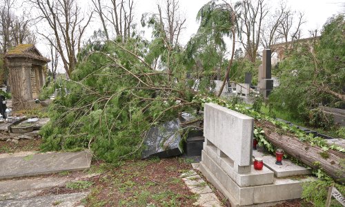 Nevrijeme na Mirogoju i drugim grobljima: Građani mogu tražiti odštetu