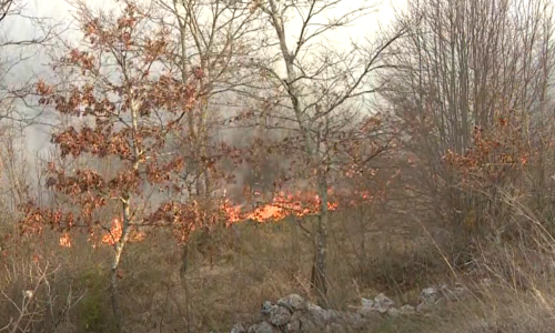 Vatrena stihija kod Barbana: Požar se brzo širi zbog jake bure