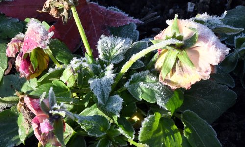 Dani pred nama bit će divni, ali nekima još uvijek prijeti mraz: Evo kad će bura opet jačati