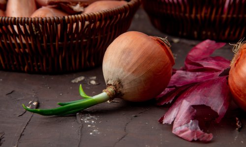 Proklijali luk i češnjak nisu za smeće: Evo zašto su zapravo još bolji za vaše zdravlje?