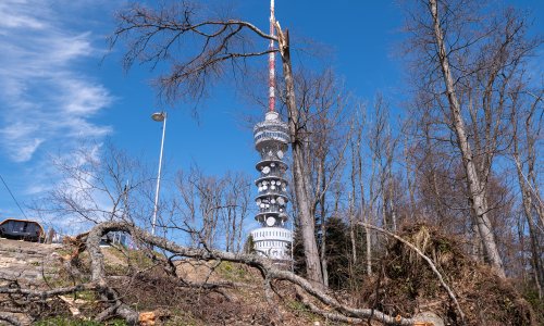 FOTO Pogledajte kako izgleda Sljeme dva tjedna nakon oluje
