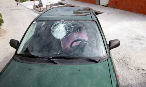 Što ako vam se ptica zabije u auto? Evo što kaže hrvatski zakon