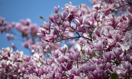 Kakav nas vikend očekuje? Bit će naoblake, ali i sunca