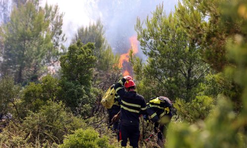 Palio travu da otjera vukove pa izazvao požar kod Šibenika