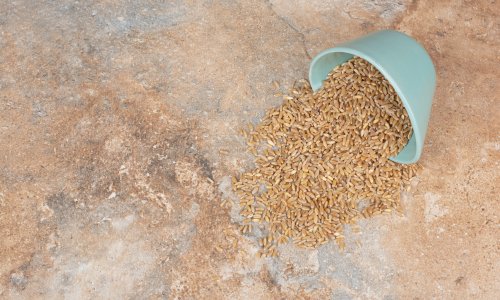 Rusija predlaže BRICS-u i Euroazijskoj ekonomskoj uniji zajedničke rezerve hrane