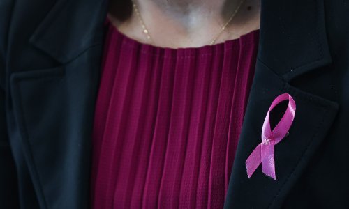 Hrvatsko zdravstvo za liječenje ove vrste raka dobilo četvorku: 'Povjerenje postoji'