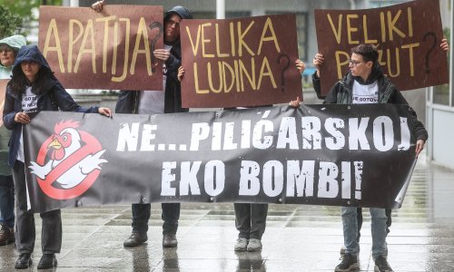 Aktivisti protiv farmi pilića: 'Prijeti ekološka katastrofa'