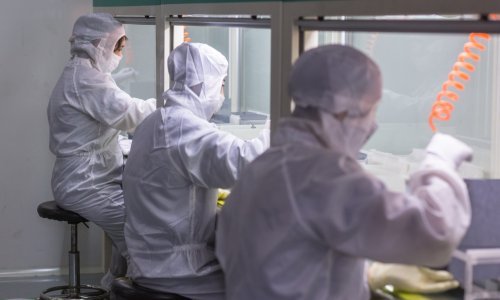 Čak 95 posto ljudi nosi ovaj opasan virus: Znanstvenici su upravo otkrili kako ga blokirati