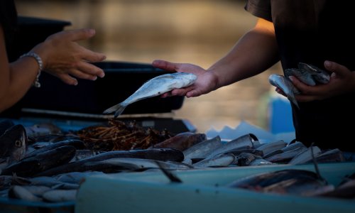 EU sprema pomoć ribarima: Za hitnu mjeru pripremljeno 760 milijuna eura