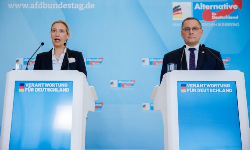 Uzbuna u Njemačkoj, ljudi su jasni: AFD postao najpopularnija stranka u državi