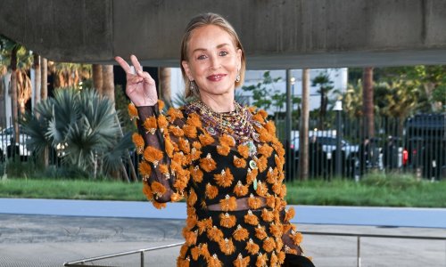 Sve je zasjenila: Sharon Stone pokazala kako se nosi 'gola' haljina u 68-oj