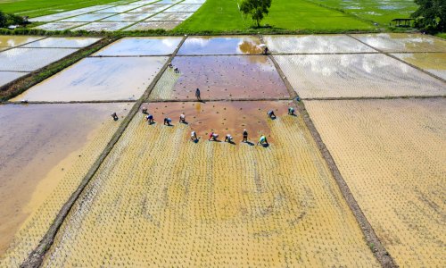 Rat na Bliskom istoku paralizirao azijskog prehrambenog diva: Nema ni nafte ni gnojiva