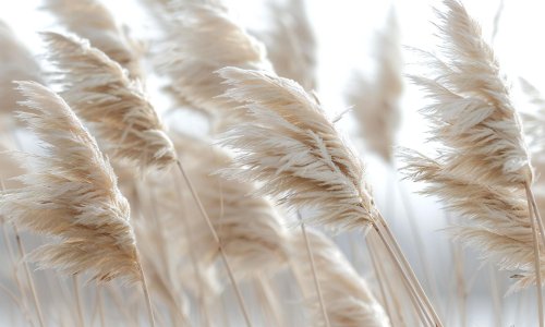 Mnogi ovu biljku sade zbog izgleda, a tek kasnije otkriju koliko problema nosi