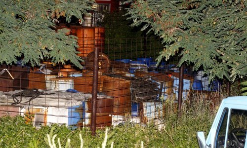 U bačvama je opasan otpad, Bandić tvrdi - aceton