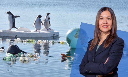 Trošimo Zemlju kao pun hladnjak: Ono što radimo s plastikom je alarmantno