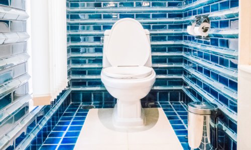 Treba li poklopac WC školjke uvijek biti spušten? Stručnjaci su dali jasan odgovor