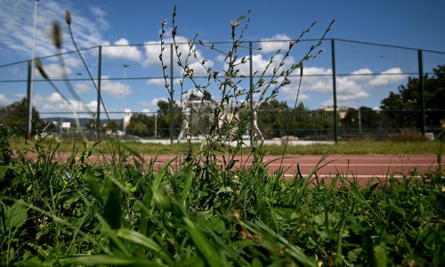 Krenuo pokositi travnjak pa ostao u šoku zbog onoga što je pronašao