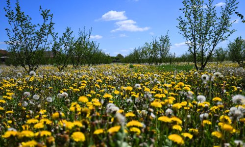 Alarm WWF-a: Hrvatska iscrpila prirodne resurse, slijedi život 'na kredit'
